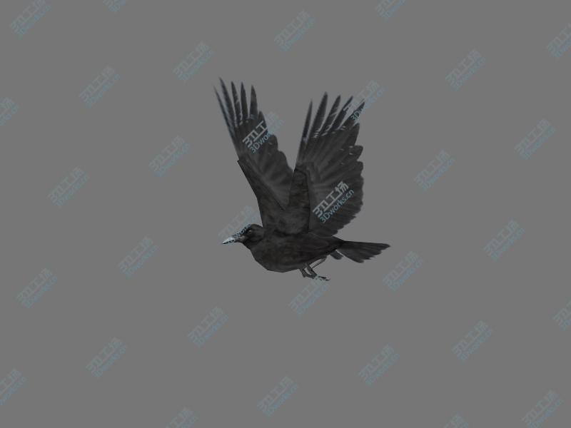 images/goods_img/2021040161/Animated Low Poly Raven/5.jpg